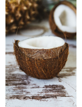 Coconut Oil Powder, soluble